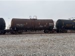 PRGX 10703